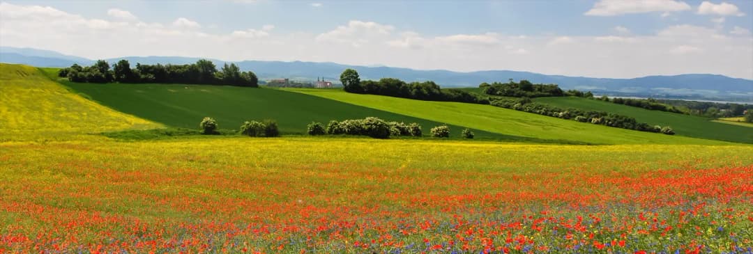 Cicha Dolina - unikalny rezerwat przyrody pełen różnorodności Cicha Dolina - unikalny rezerwat przyrody pełen różnorodności