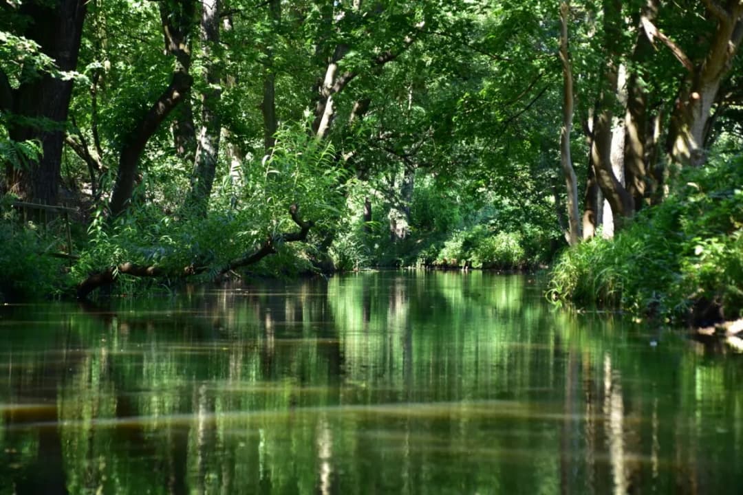 Rezerwaty przyrody w Polsce lista - poznaj najciekawsze miejsca ochrony natury