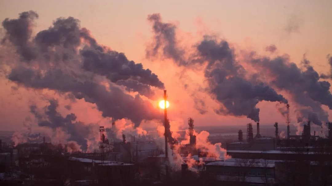 Czy smog jest w domu? Jak zanieczyszczenia wpływają na twoje zdrowie