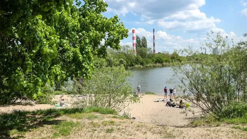 Rezerwat przyrody Jeziorko Czerniakowskie – odkryj jego unikalne piękno