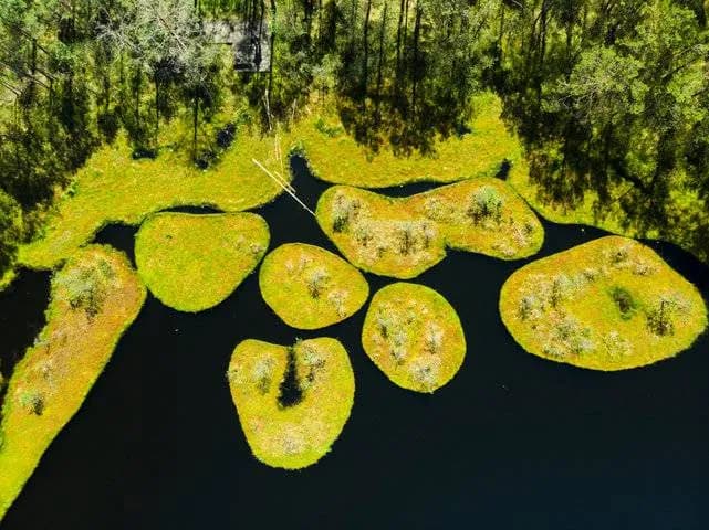 Rezerwat przyrody Kozie Góry - unikalne miejsca i rzadkie gatunki