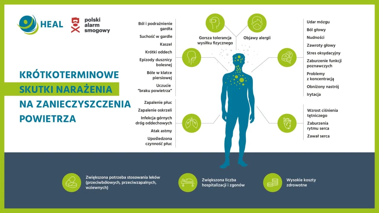 Jakie są skutki zanieczyszczenia środowiska dla zdrowia i klimatu?