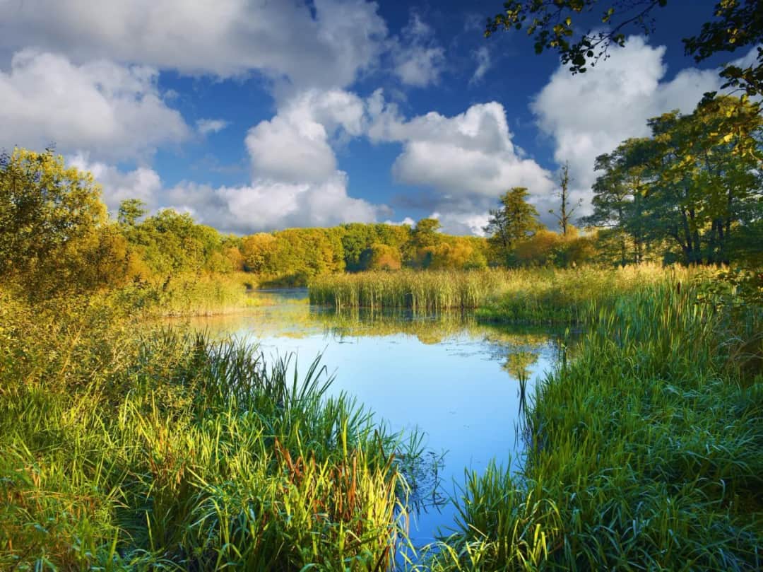 Opisz dowolny rezerwat przyrody: fascynujące ekosystemy i ich tajemnice